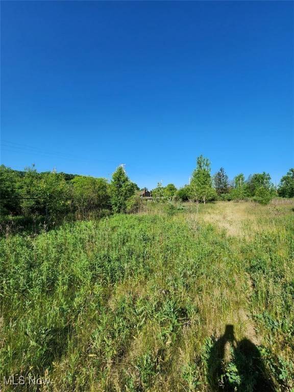 Akron, OH 44320,Aberth DR