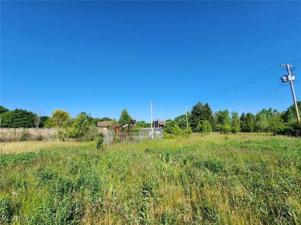 Akron, OH 44320,Aberth DR