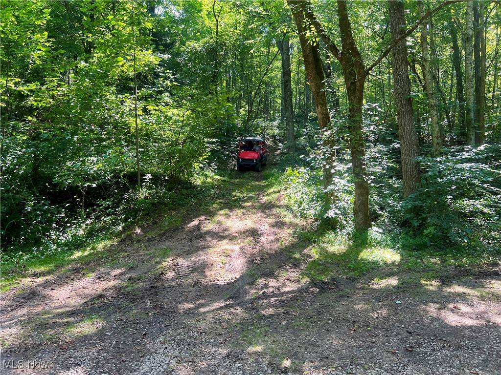 Stockport, OH 43787,955 Starling LN