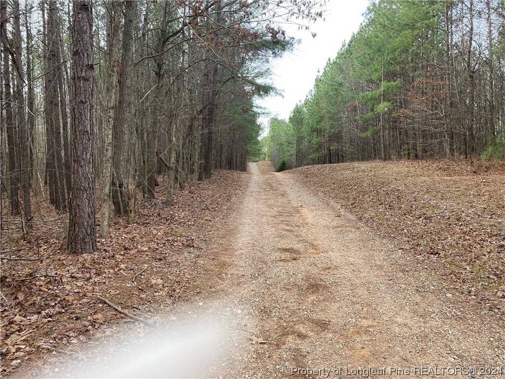 Sanford, NC 27330,Lick Creek RD