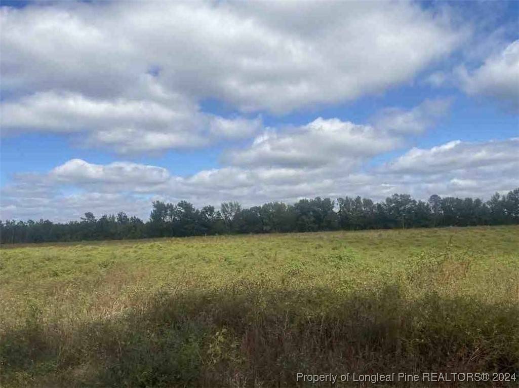Rowland, NC 28383,000 Hwy 74 - Alt RD