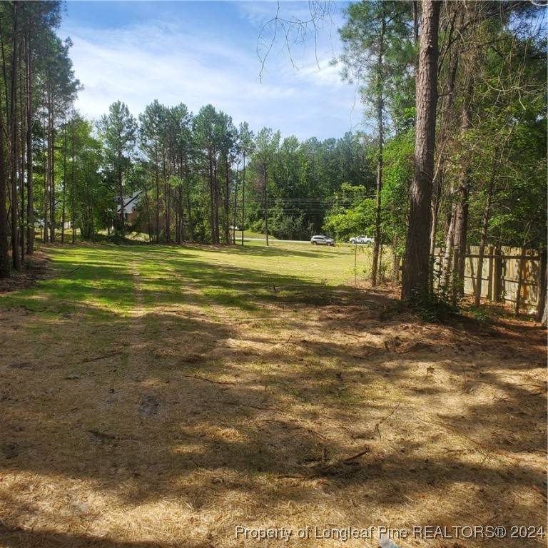 Raeford, NC 28376,Lot 3 Rockfish RD