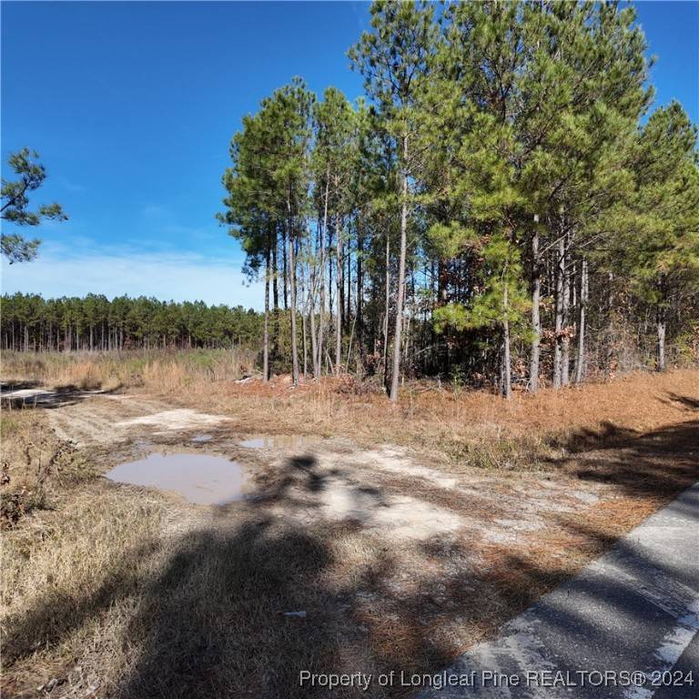Linden, NC 28356,2801 McBryde ST