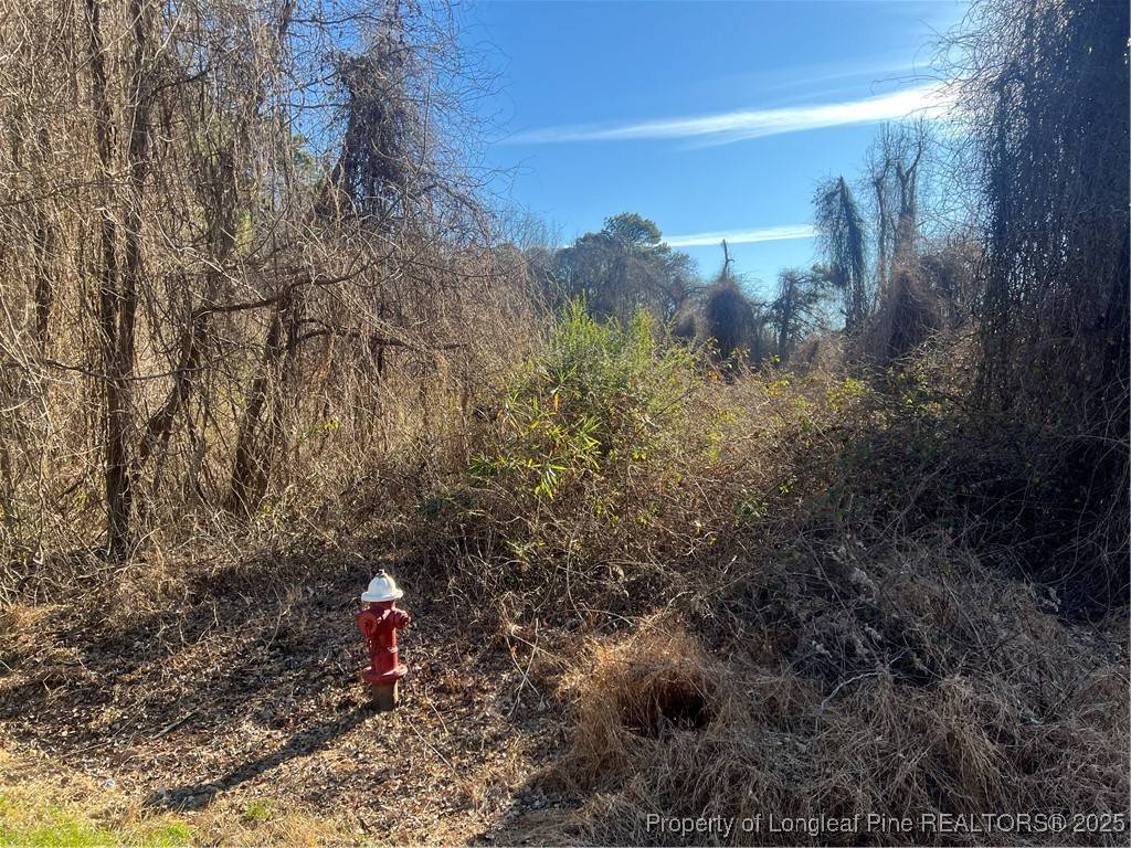 Sanford, NC 27332,0 Minter School RD