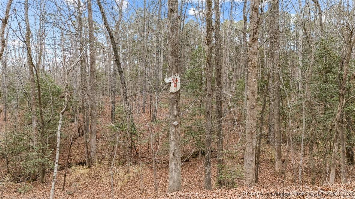 Carthage, NC 28327,LOTS 24 A&B Equestrian LN