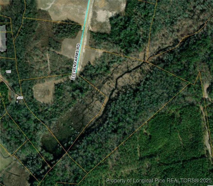 Salemburg, NC 28385,Lot 48 Eleven Farms Rd