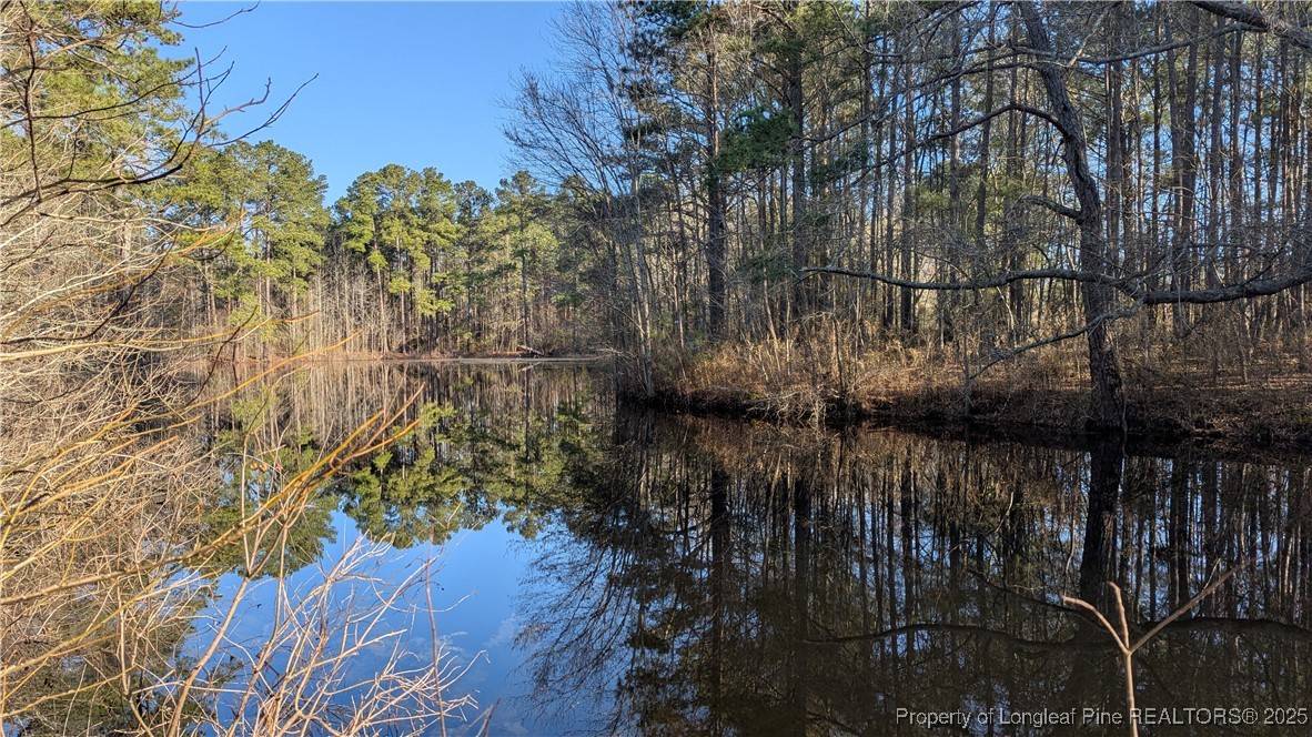 Cameron, NC 28326,1097 Harnett RD