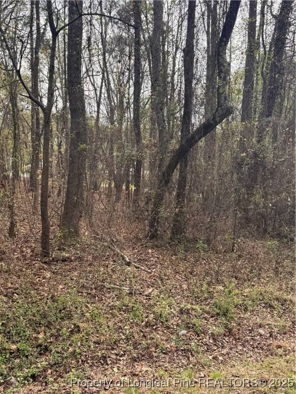 Sanford, NC 27330,0 Lanlier DR