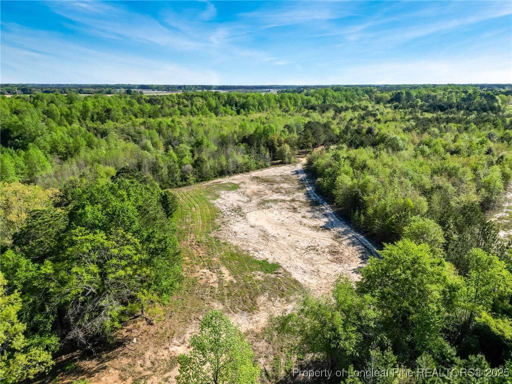 Salemburg, NC 28385,Laurel Lakes (Lot 1) RD