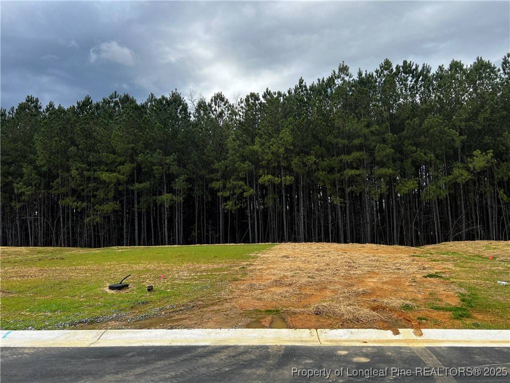 Fayetteville, NC 28312,1616 Elk Run (Lot 113) DR