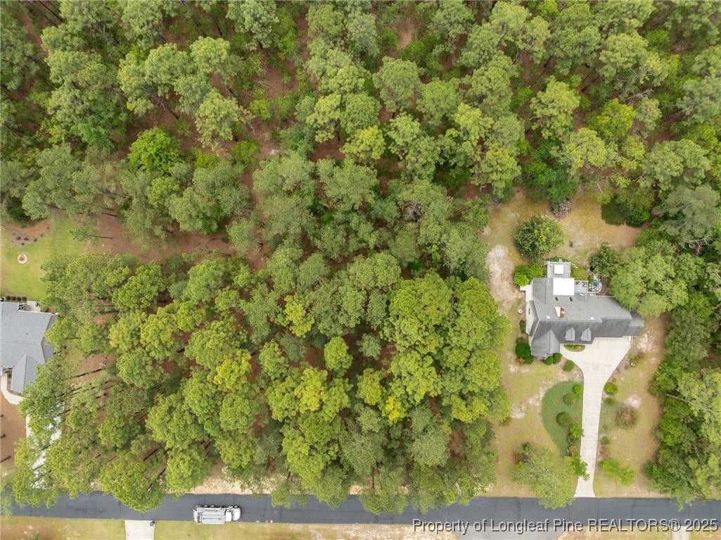 Wagram, NC 28396,36 Wildlife Lane