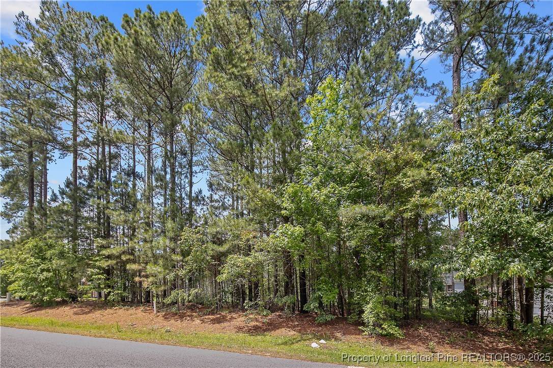 Spring Lake, NC 28390,255 Barons Run (Lot 436) W
