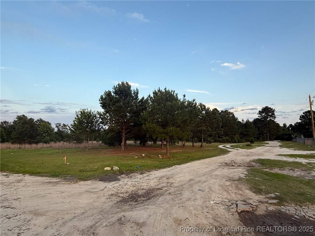 Raeford, NC 28377,Blue Springs LOT 1-2 RD