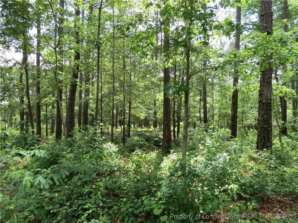 Broadway, NC 27505,0 Knollwood LN