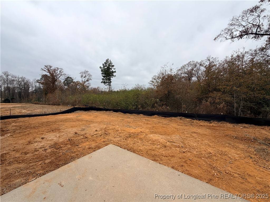 Raeford, NC 28376,166 Brickendon (Lot 276) LN