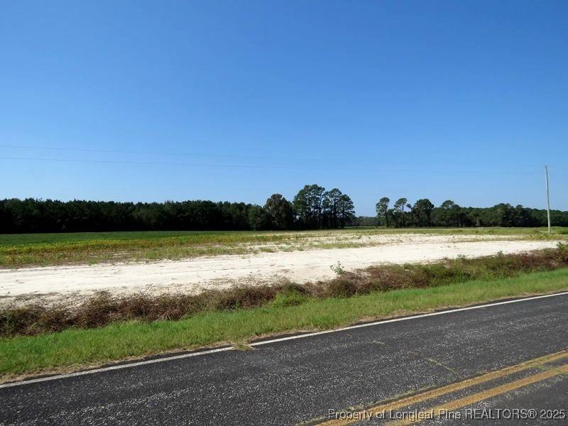 Fairmont, NC 28340,TBD Cowpen Swamp RD