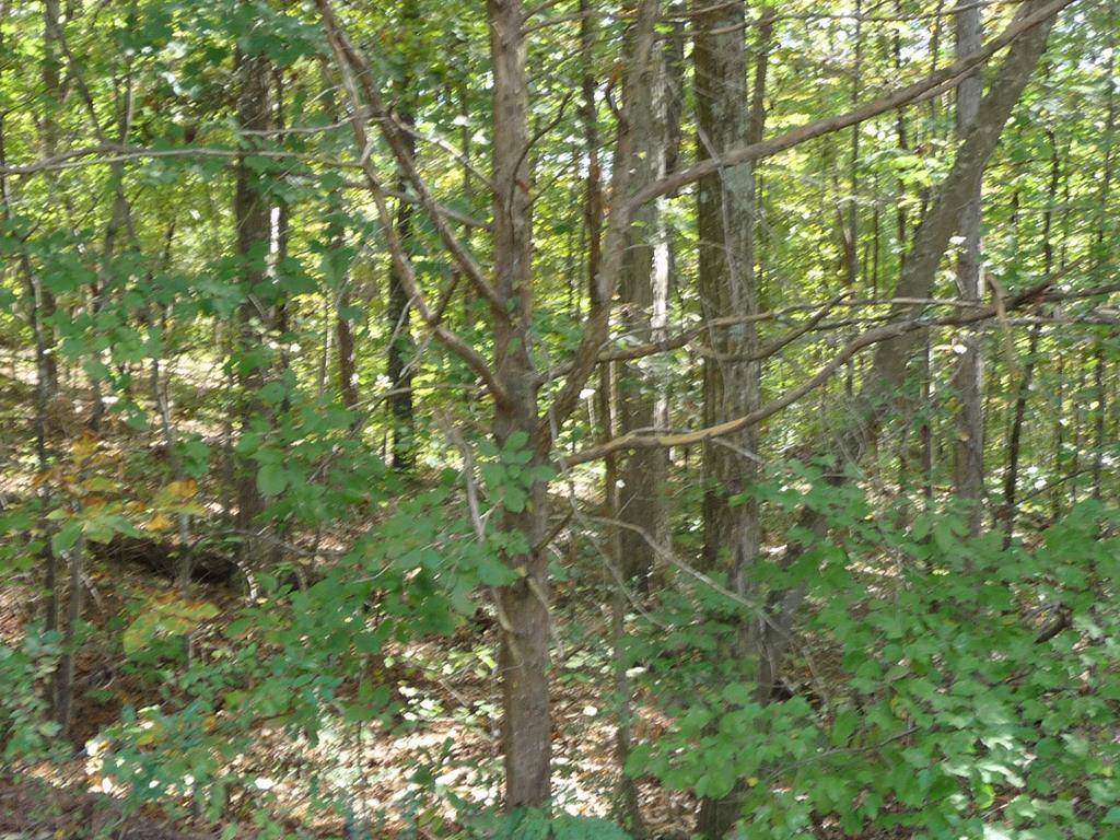 Cleveland, TN 37312,0 goodwin rd./ walker brow ridge RD