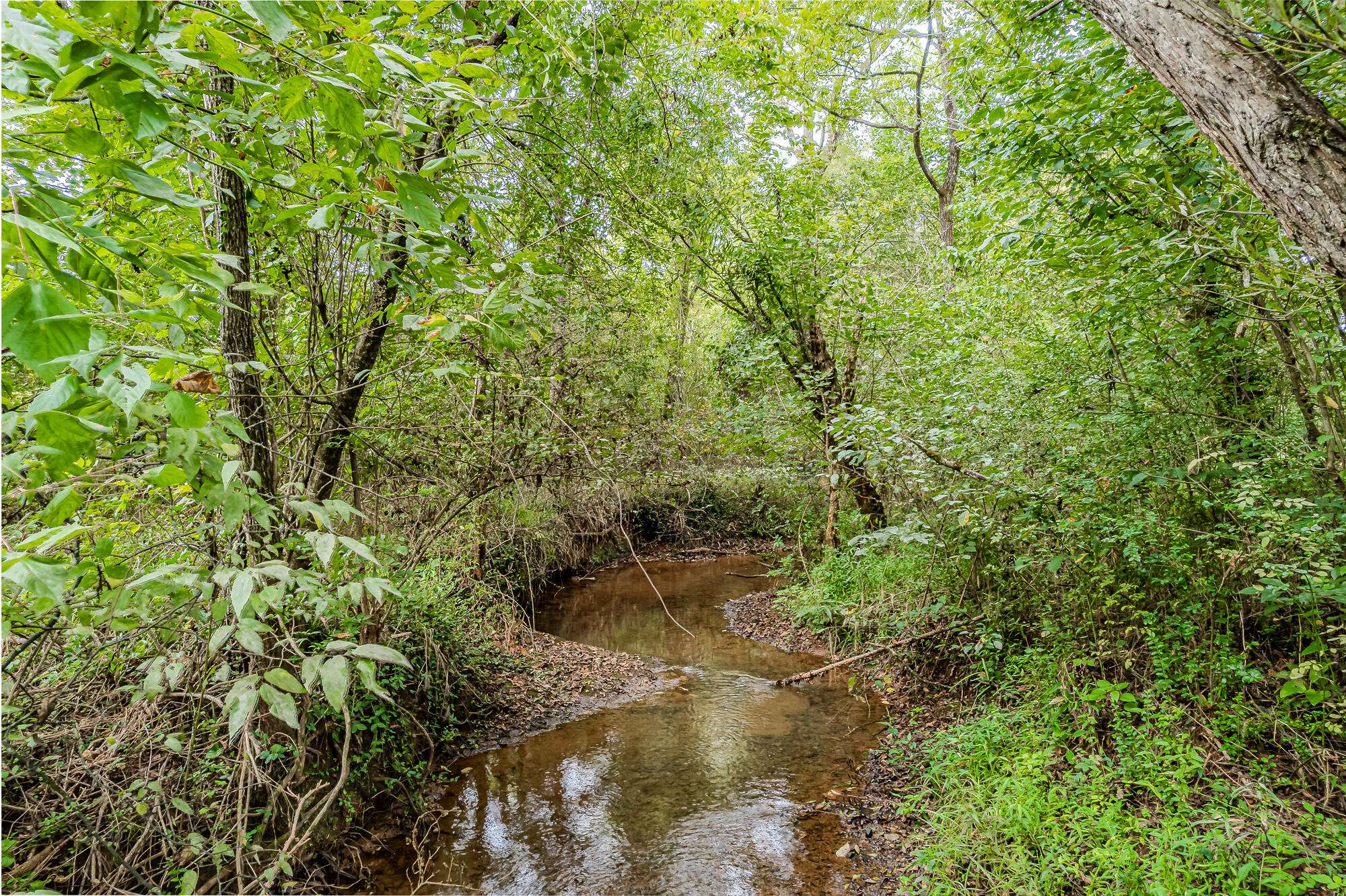 Englewood, TN 37329,0 County Road 432