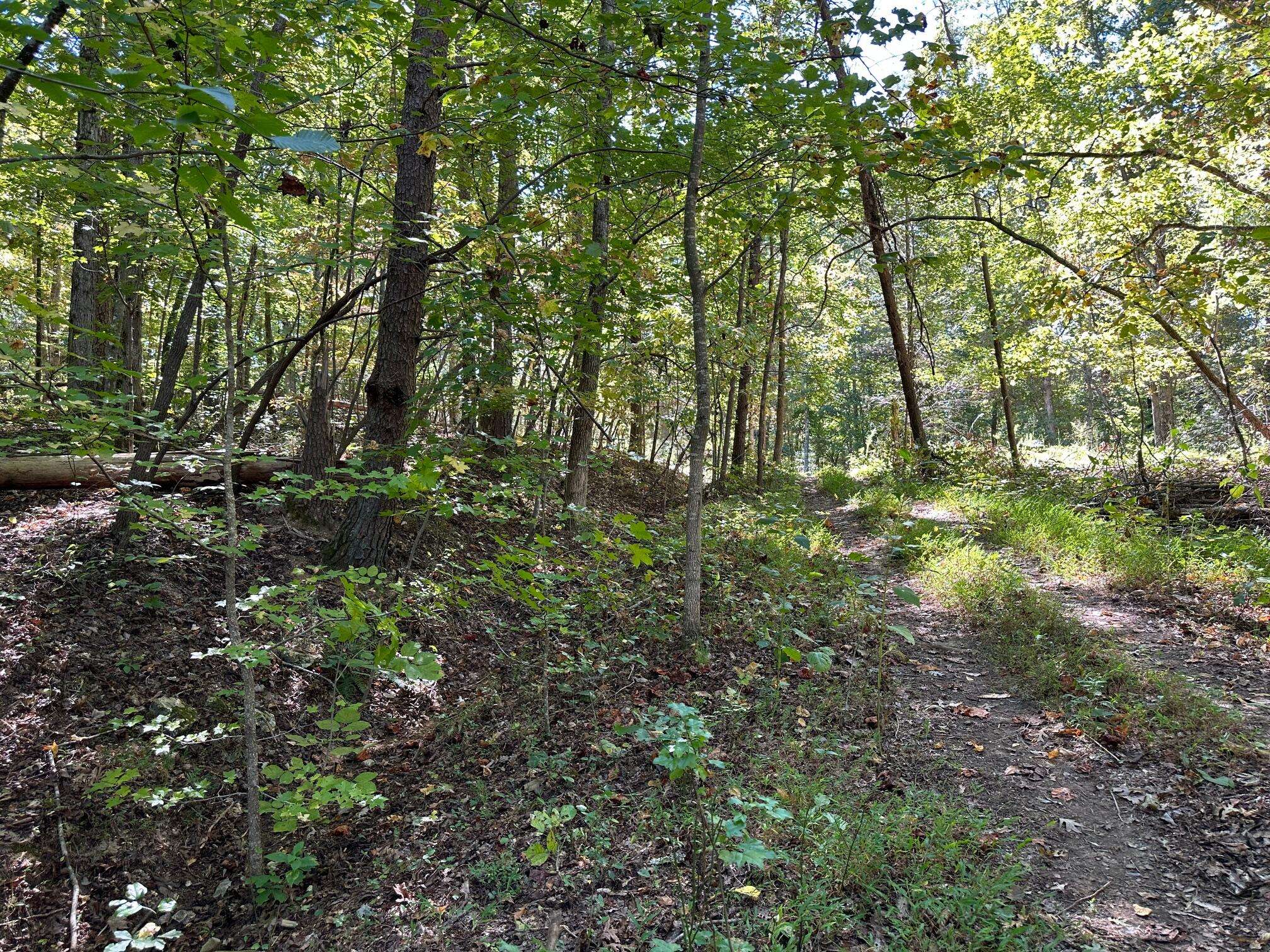Spring City, TN 37381,Lot 412 Smith RD