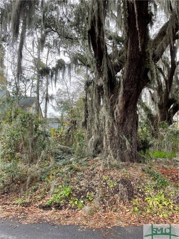 Savannah, GA 31406,0 Albert ST