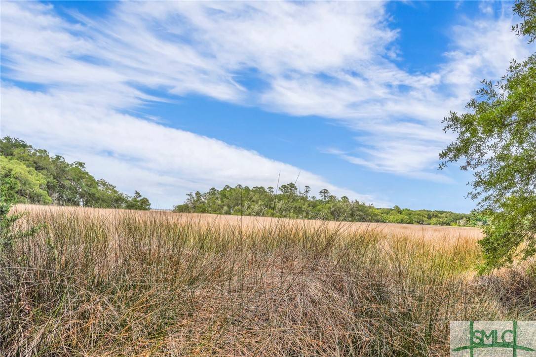 Townsend, GA 31331,LOT 5 Retreat LN