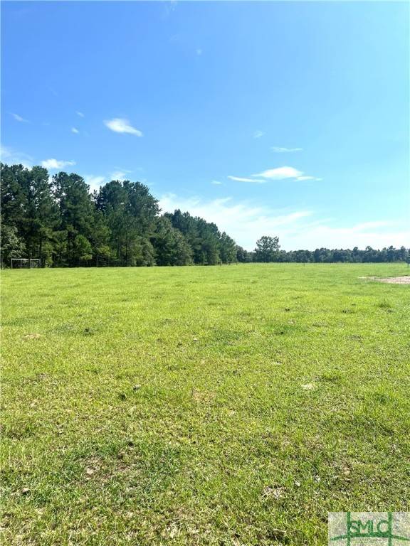 Waynesboro, GA 30830,00 Claxton Lively RD