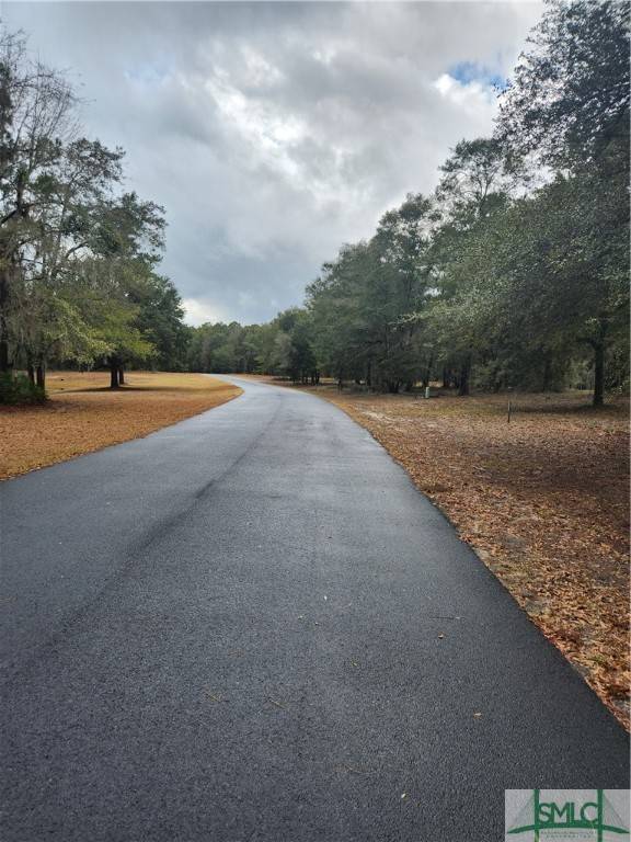 Townsend, GA 31331,Rd 1 Coopers Point ST