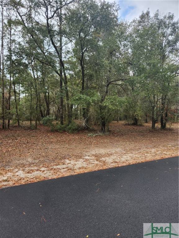 Townsend, GA 31331,Rd 1 Coopers Point ST