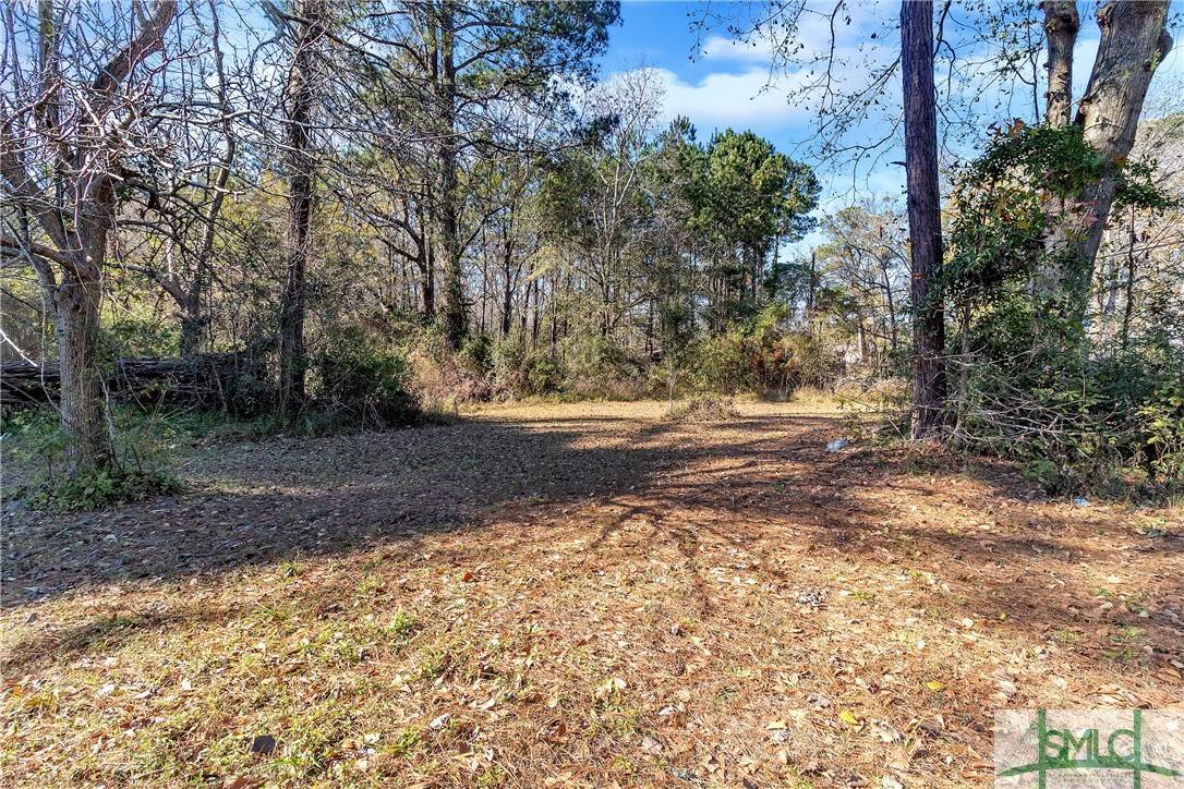 Garden City, GA 31408,0 Cooper LN