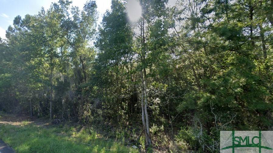 Darien, GA 31305,0 HWY 99 HWY