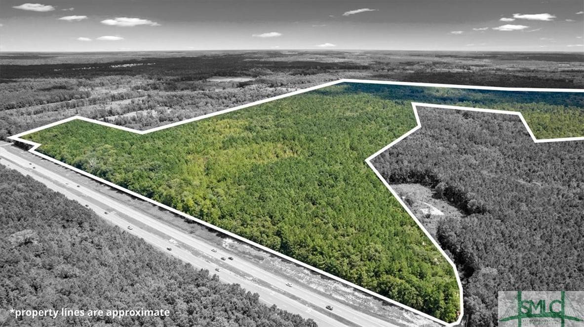 Fleming, GA 31309,262.44 AC Leroy Coffer HWY