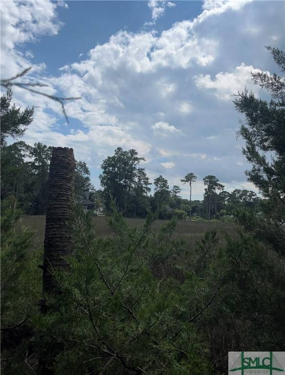 Savannah, GA 31410,000000 Perry CV