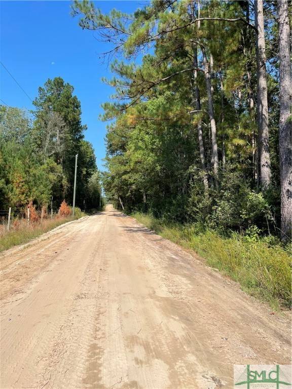 Clyo, GA 31303,0 OLD AUGUSTA RD