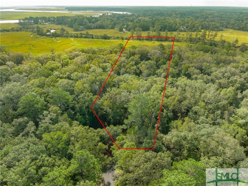 Richmond Hill, GA 31324,160 Sterling Creek PT
