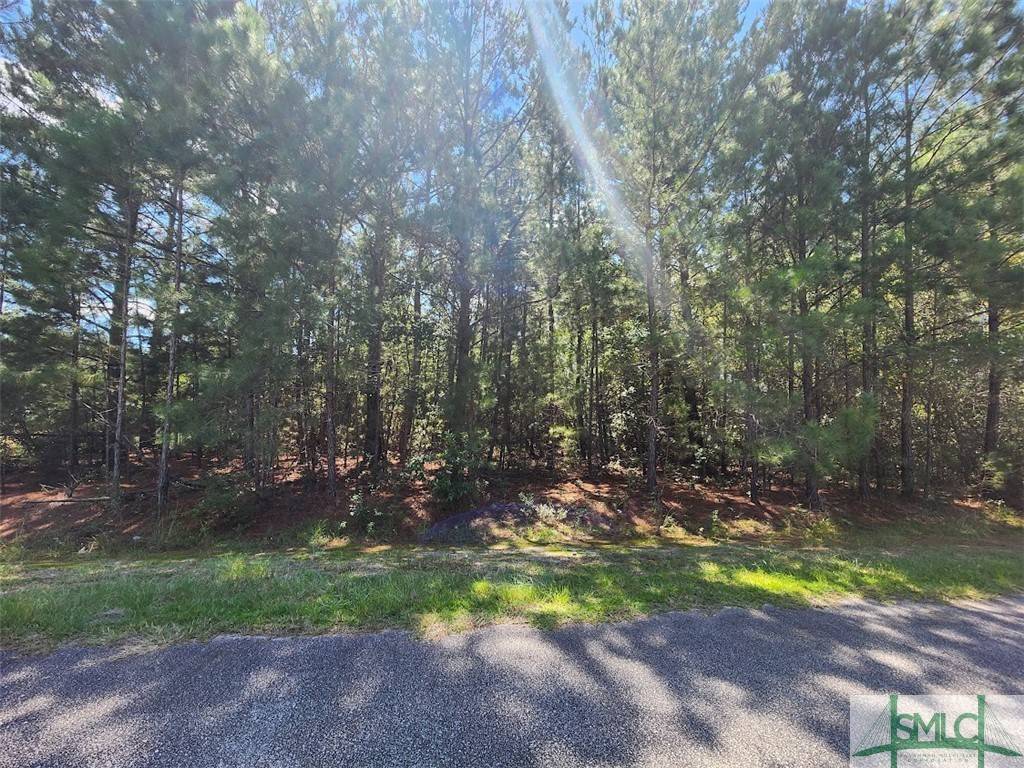 Pembroke, GA 31321,0 Ossie LN