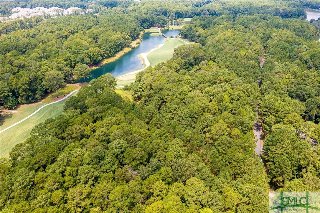 Richmond Hill, GA 31324,336 Belted Kingfisher LN