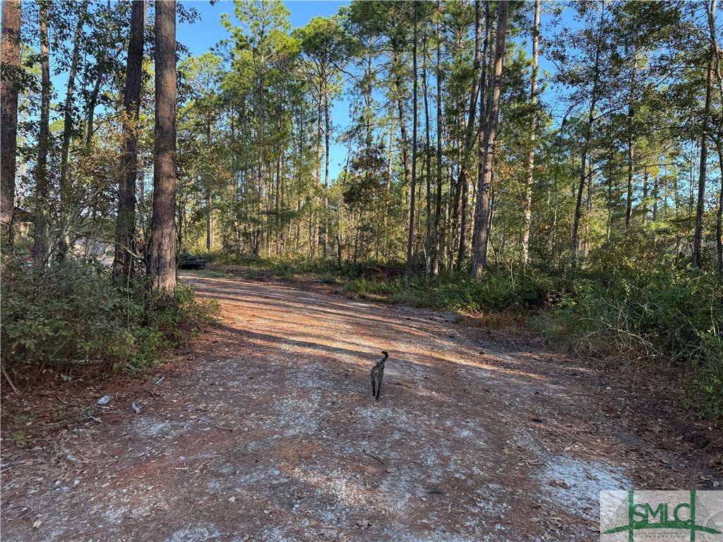 Pembroke, GA 31321,2953 Ga Highway 67 HWY N