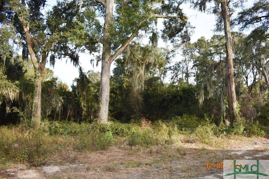 Savannah, GA 31405,0 Adel ST