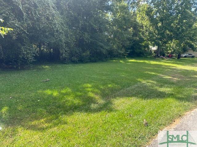 Hampton, SC 29924,TBD Middle ST