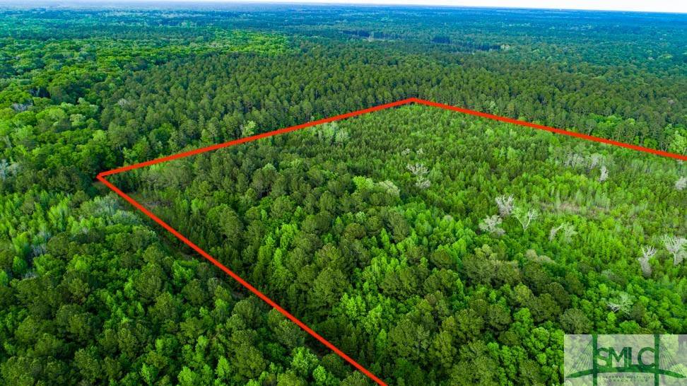 Hardeeville, SC 29927,TBD Dunham Williams RD