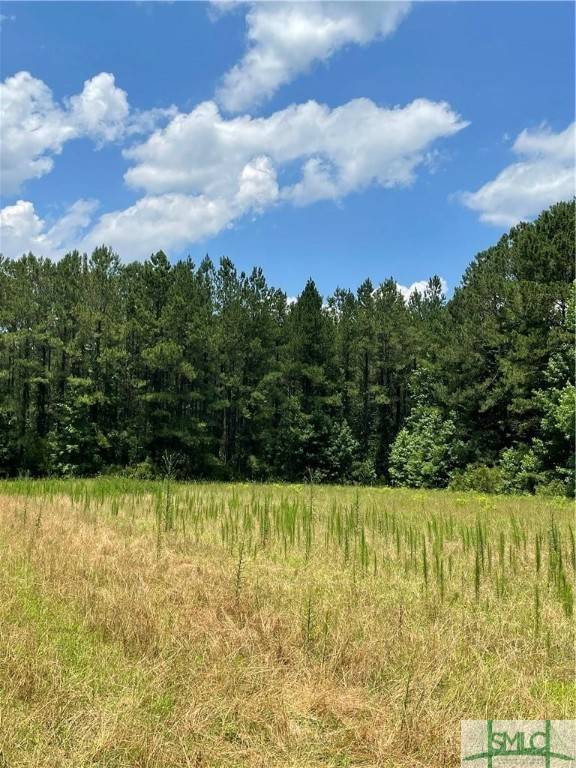 Springfield, GA 31329,0 RAHN STATION RD