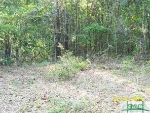 Savannah, GA 31405,0 Salt Creek RD