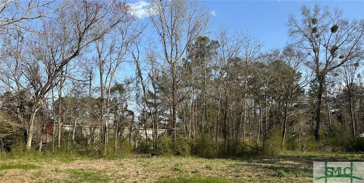 Pooler, GA 31322,210 Rogers ST