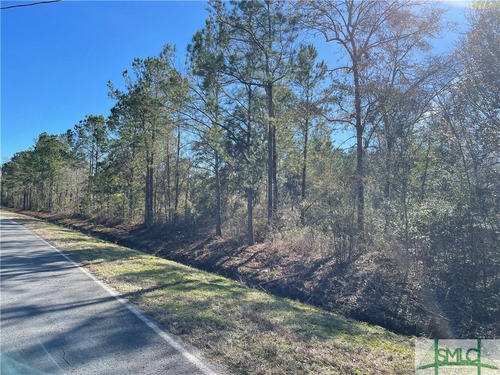 Rincon, GA 31326,05 LITTLE McCALL RD