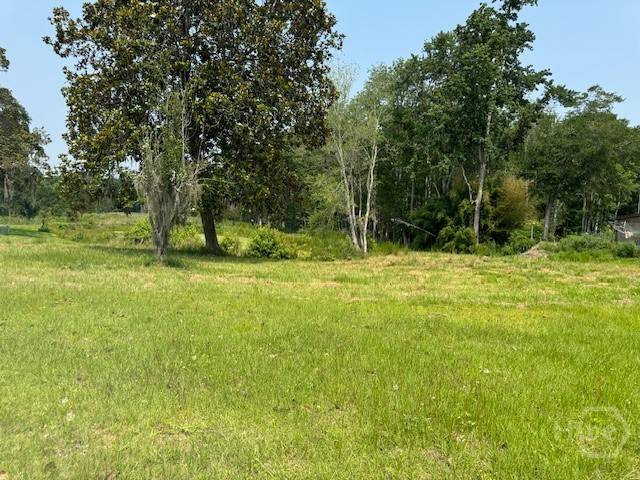 Townsend, GA 31331,0 US HWY 17 HWY