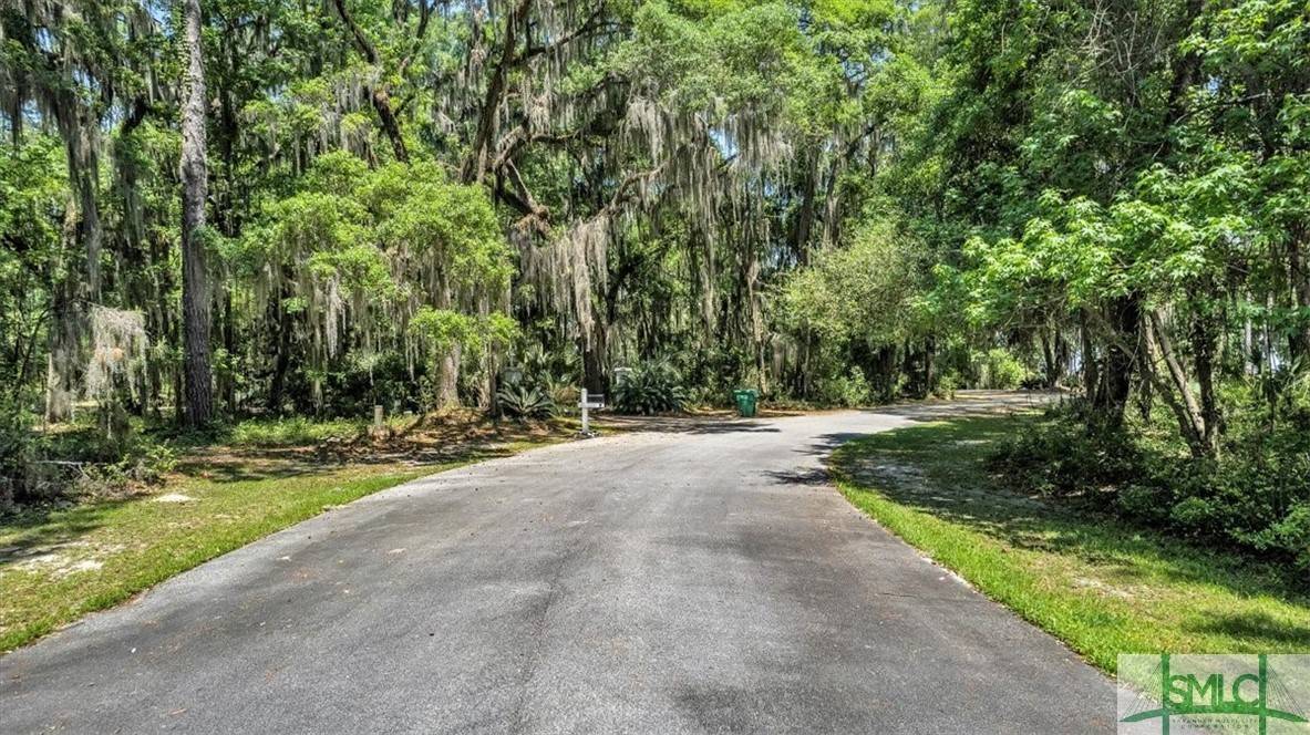 Townsend, GA 31331,Lot 208 Riverpoint LN NE