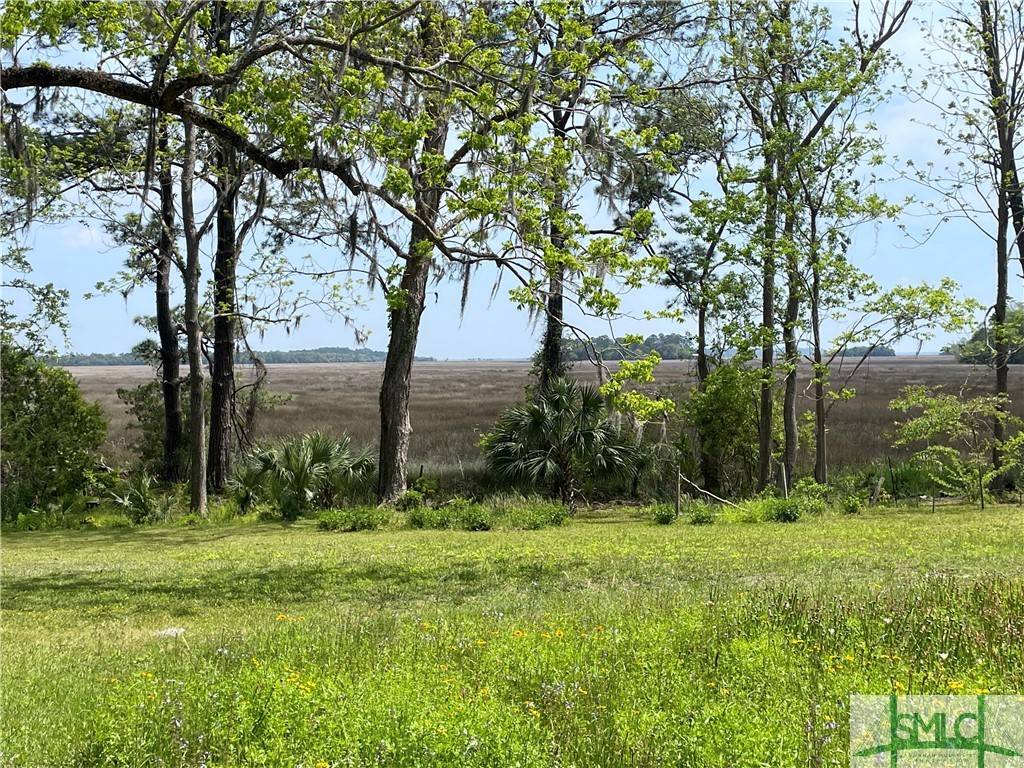 Darien, GA 31305,14009 GA 99 HWY