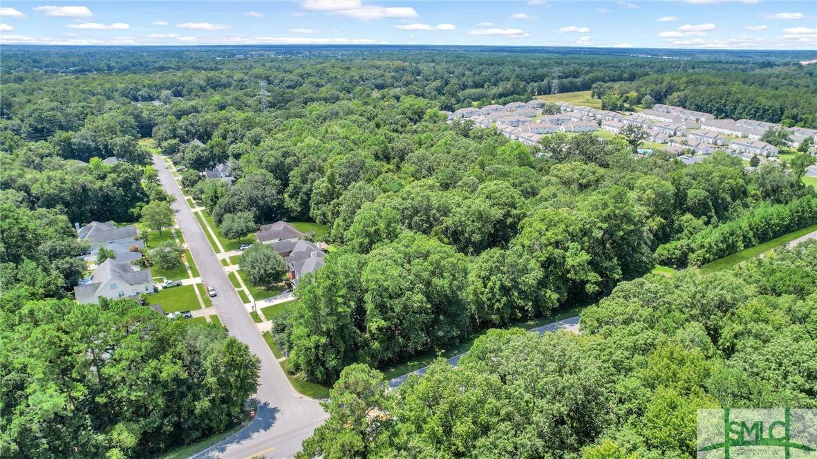 Savannah, GA 31419,9.73 AC Little Neck RD