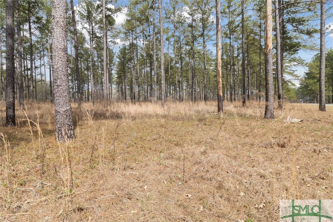 Claxton, GA 30417,14 Pine Ridge DR