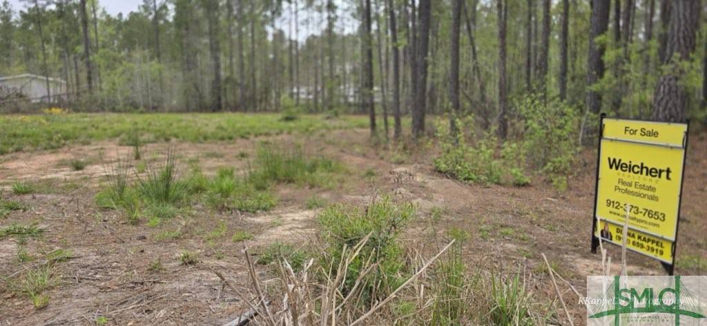 Fleming, GA 31309,Lot 11 Pate Rogers RD